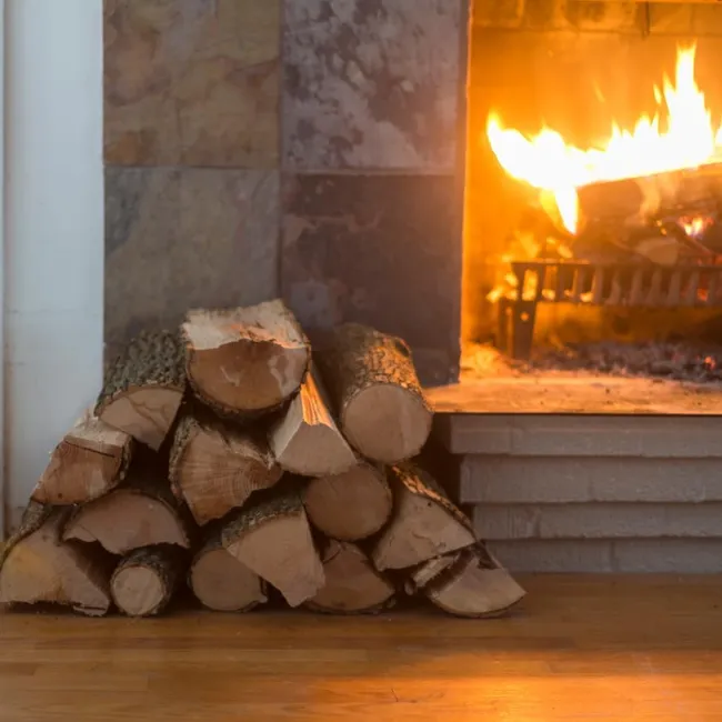 BÛCHES DE HÊTRE SECS  de 25 cm POUR POÊLES, CHEMINÉES ET BARBECUES – Image 2